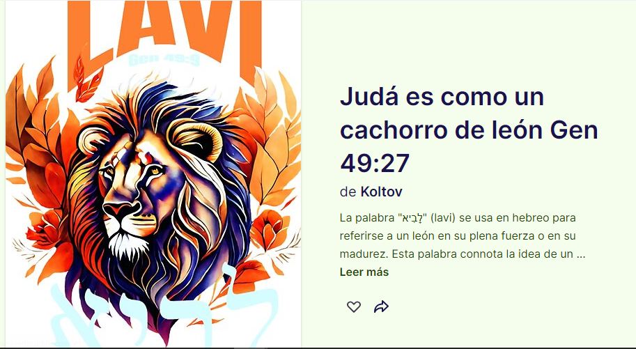 Camiseta לָבִיא (Lavi - León)