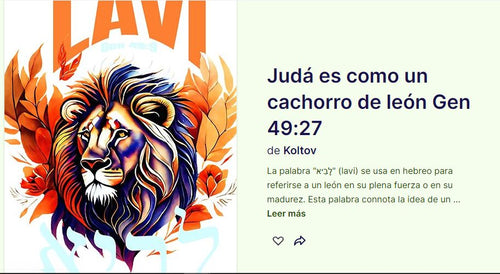 Camiseta לָבִיא (Lavi - León)