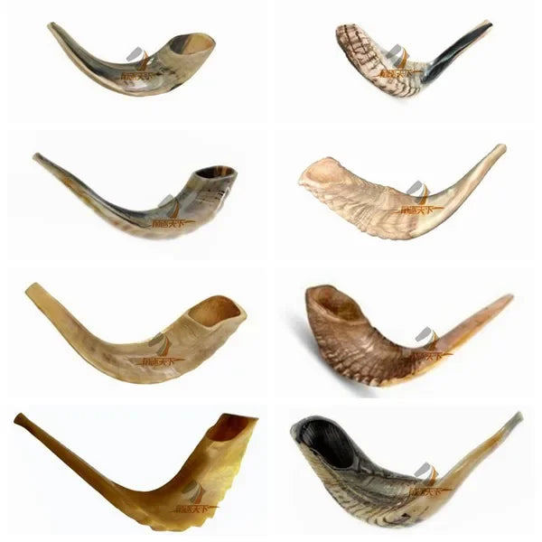 Shofar Pulido de Israel - Cuerno de Carnero Natural Auténtico