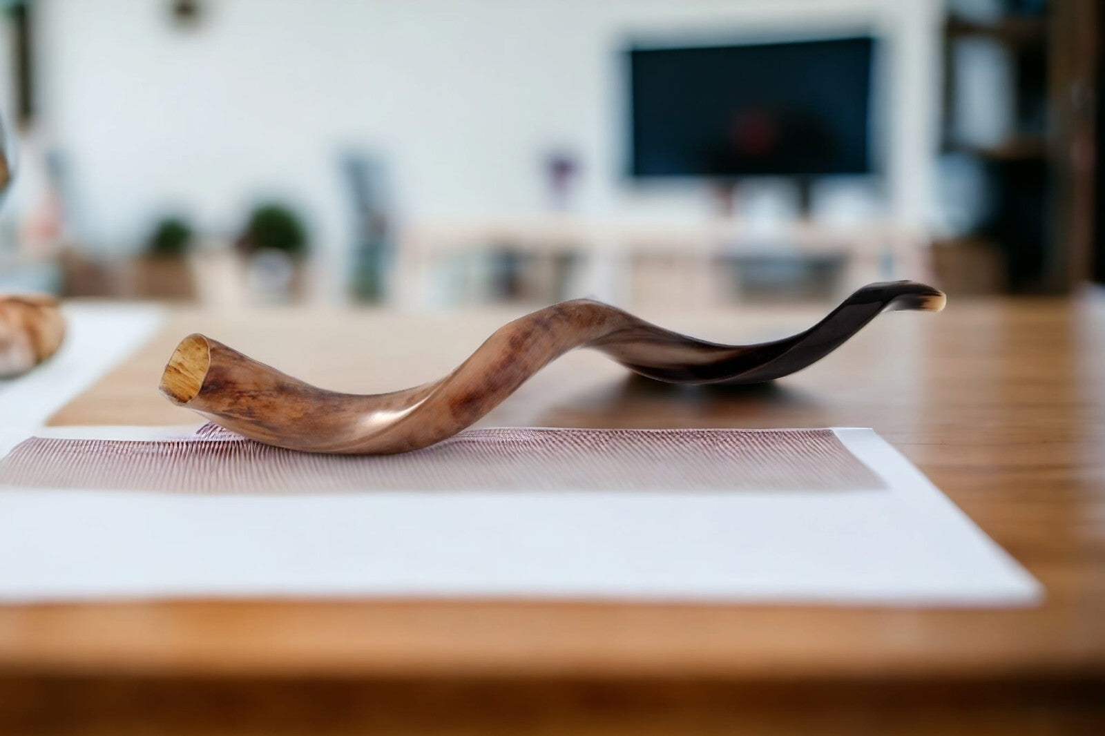 Shofar Polished Polish Kosher Kudu Horn 36" -40 " inch (90-100cm) Made In Israel