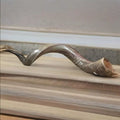 Half polished natural Judaica Kosher 60-70 cm Yemenite Kudu Shofar Horn shofar