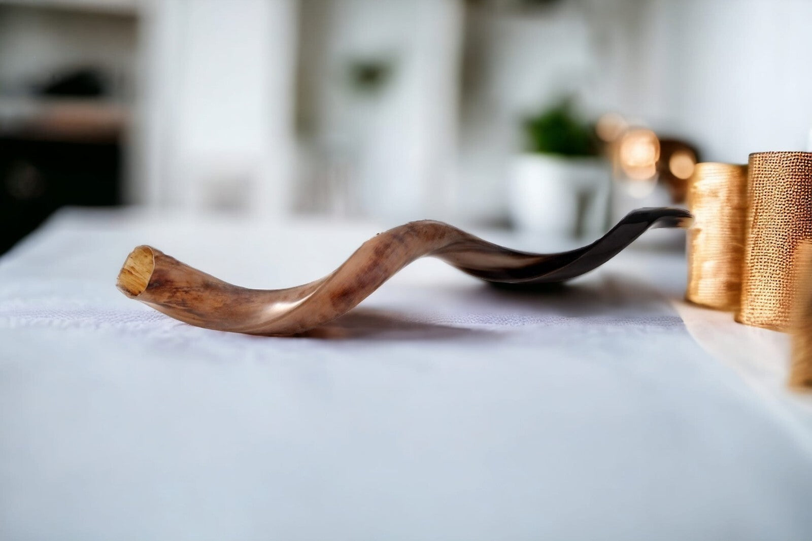 Shofar Polished Polish Kosher Kudu Horn 36" -40 " inch (90-100cm) Made In Israel