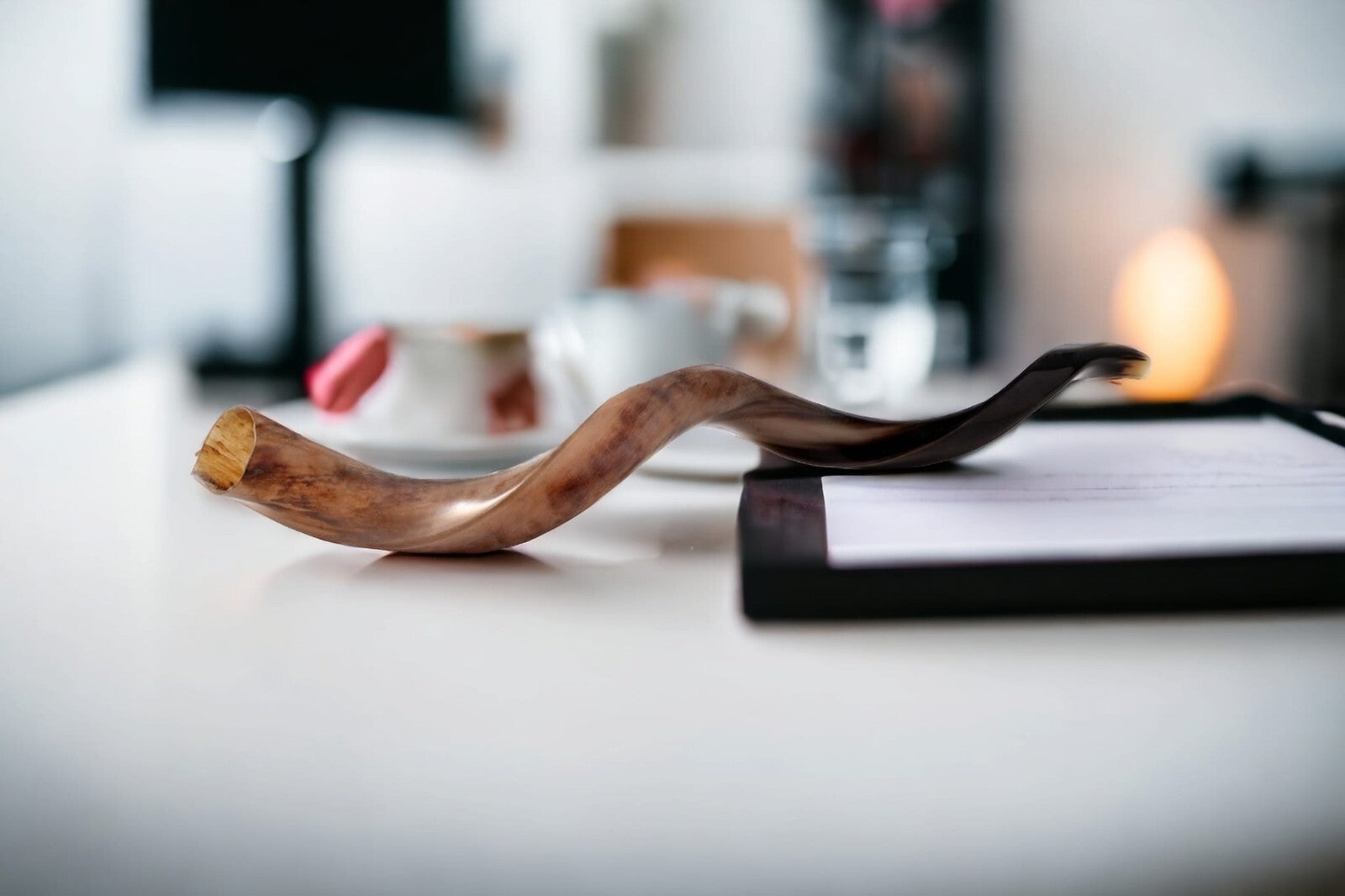 Shofar Polished Polish Kosher Kudu Horn 36" -40 " inch (90-100cm) Made In Israel