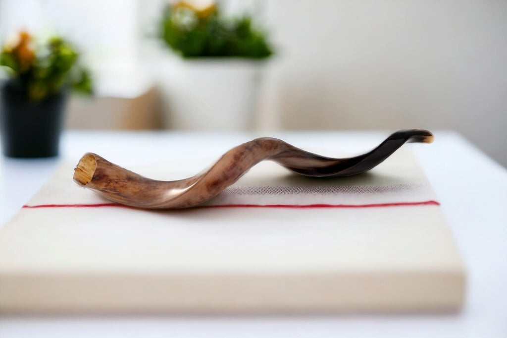 Shofar Polished Polish Kosher Kudu Horn 36" -40 " inch (90-100cm) Made In Israel