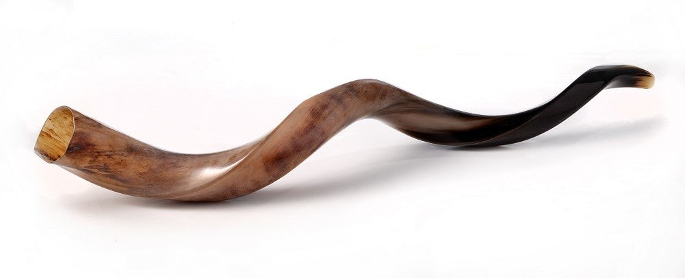 Shofar Polished Polish Kosher Kudu Horn 36" -40 " inch (90-100cm) Made In Israel