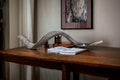 Huge SHOFAR Very Big Half Natural Half polish Kosher Kudu Horn 51 " 130cm RARE