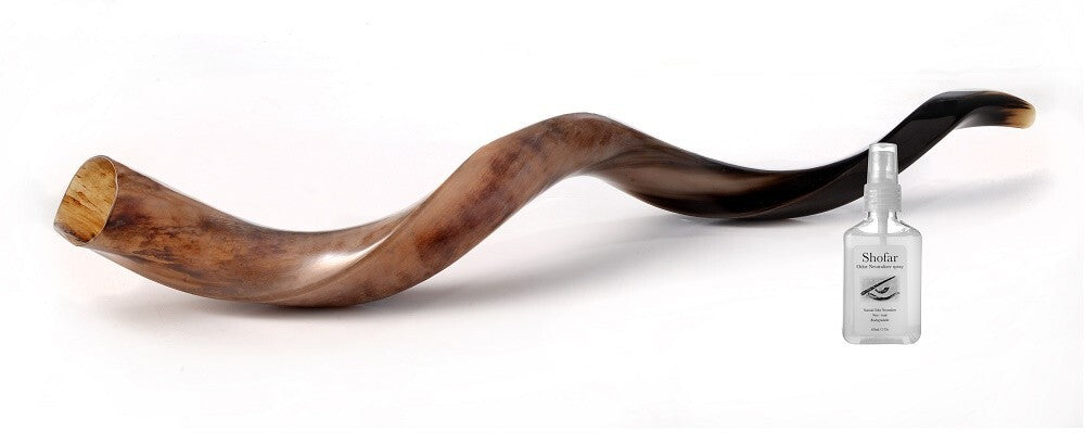 Shofar Polished Polish Kosher Kudu Horn 36" -40 " inch (90-100cm) Made In Israel