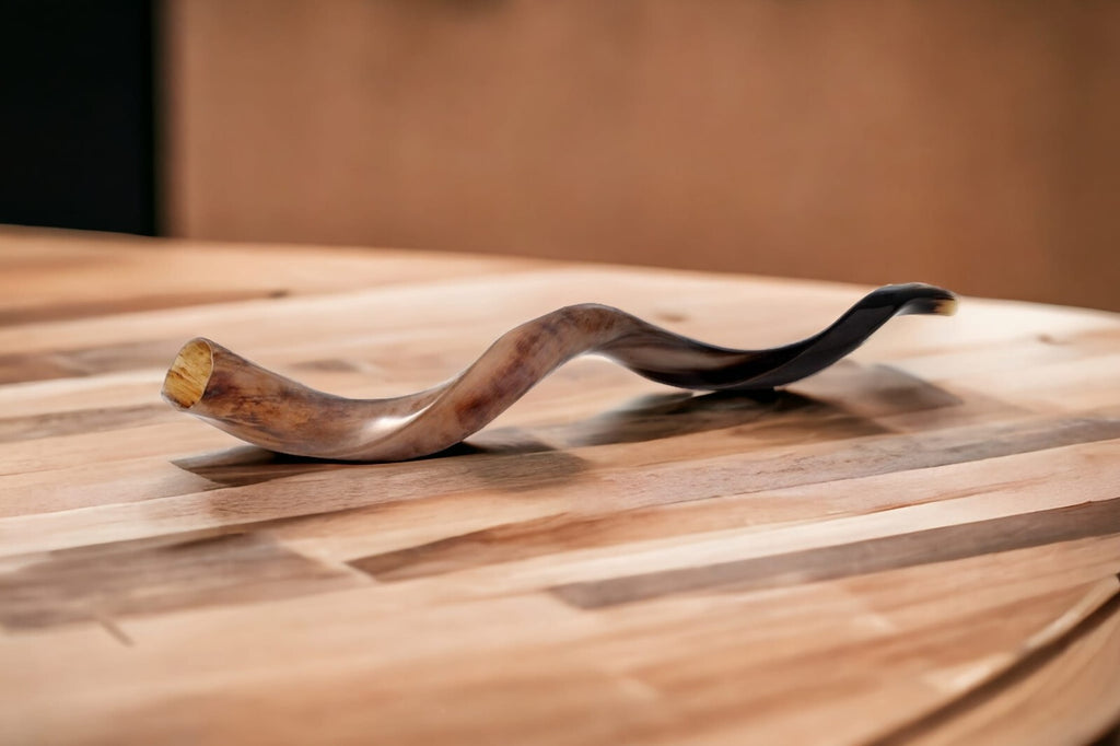 Shofar Polished Polish Kosher Kudu Horn 36" -40 " inch (90-100cm) Made In Israel