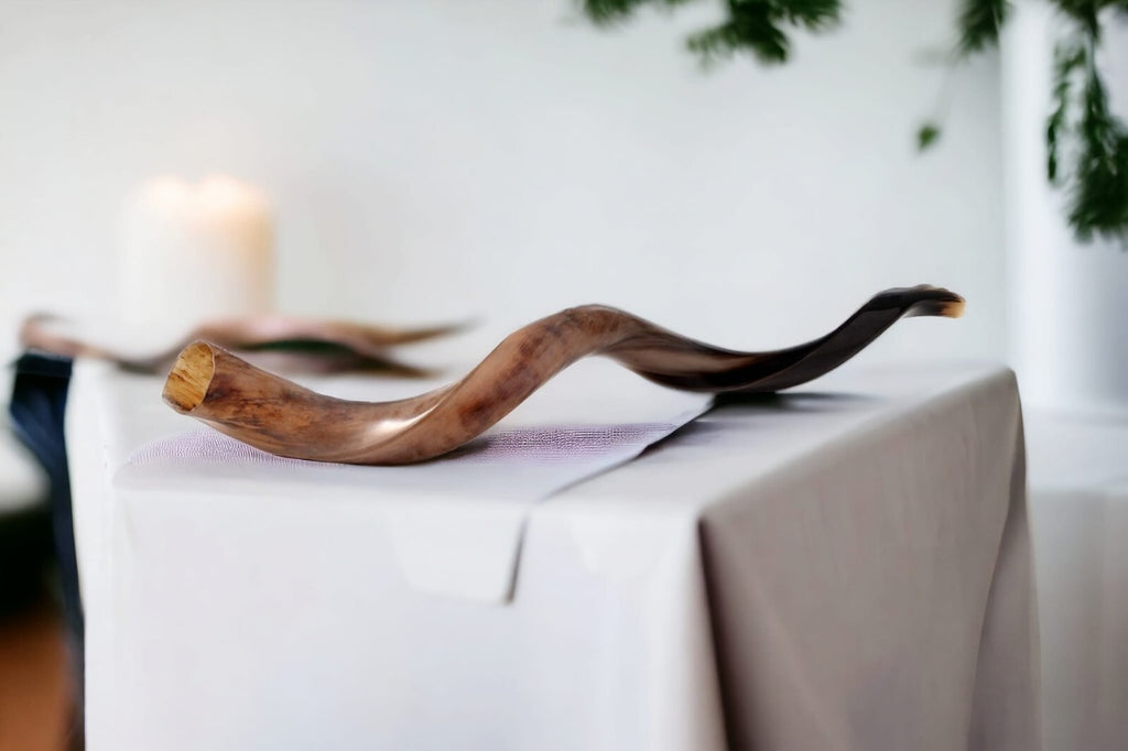 Shofar Polished Polish Kosher Kudu Horn 36" -40 " inch (90-100cm) Made In Israel