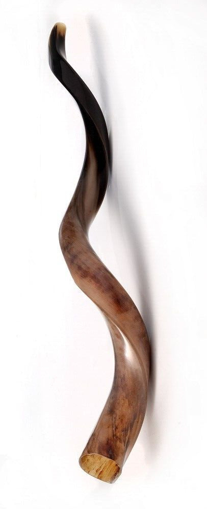 Shofar Polished Polish Kosher Kudu Horn 36" -40 " inch (90-100cm) Made In Israel