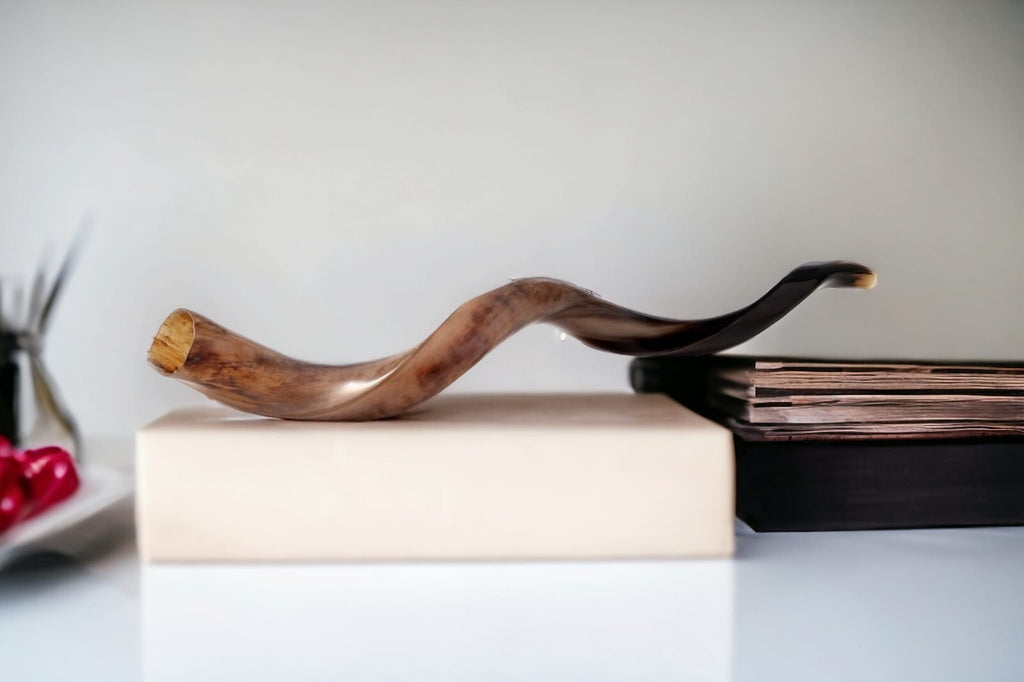 Shofar Polished Polish Kosher Kudu Horn 36" -40 " inch (90-100cm) Made In Israel