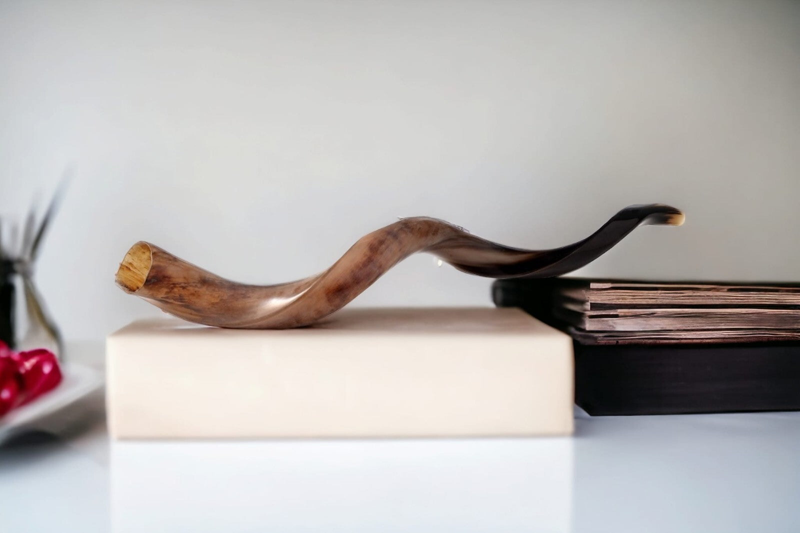 Shofar Polished Polish Kosher Kudu Horn 36" -40 " inch (90-100cm) Made In Israel