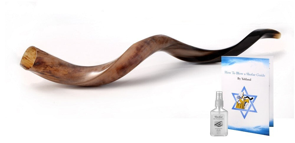 Shofar Polished Polish Kosher Kudu Horn 36" -40 " inch (90-100cm) Made In Israel